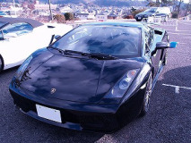 LA01a