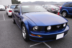 FD01a